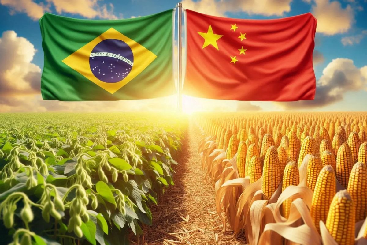 China pretende iniciar plantio de soja e milho no Brasil