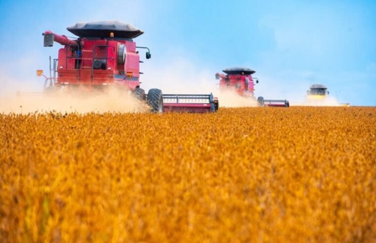 Coração do agro, Centro-Oeste deve ser única região a acelerar em 2025