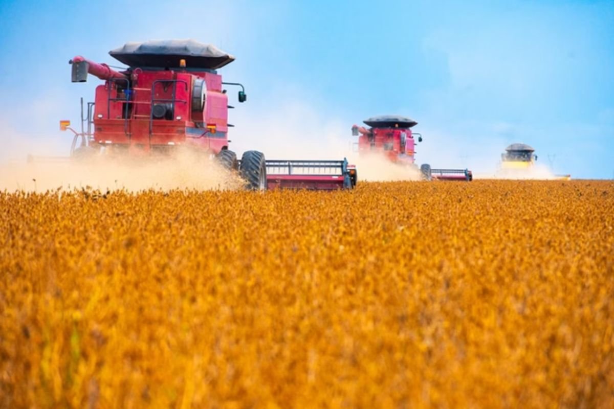 Coração do agro, Centro-Oeste deve ser única região a acelerar em 2025