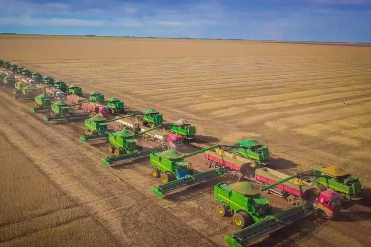 Fundo internacional disponibiliza quase US$ 100 bilhões para o agro brasileiro