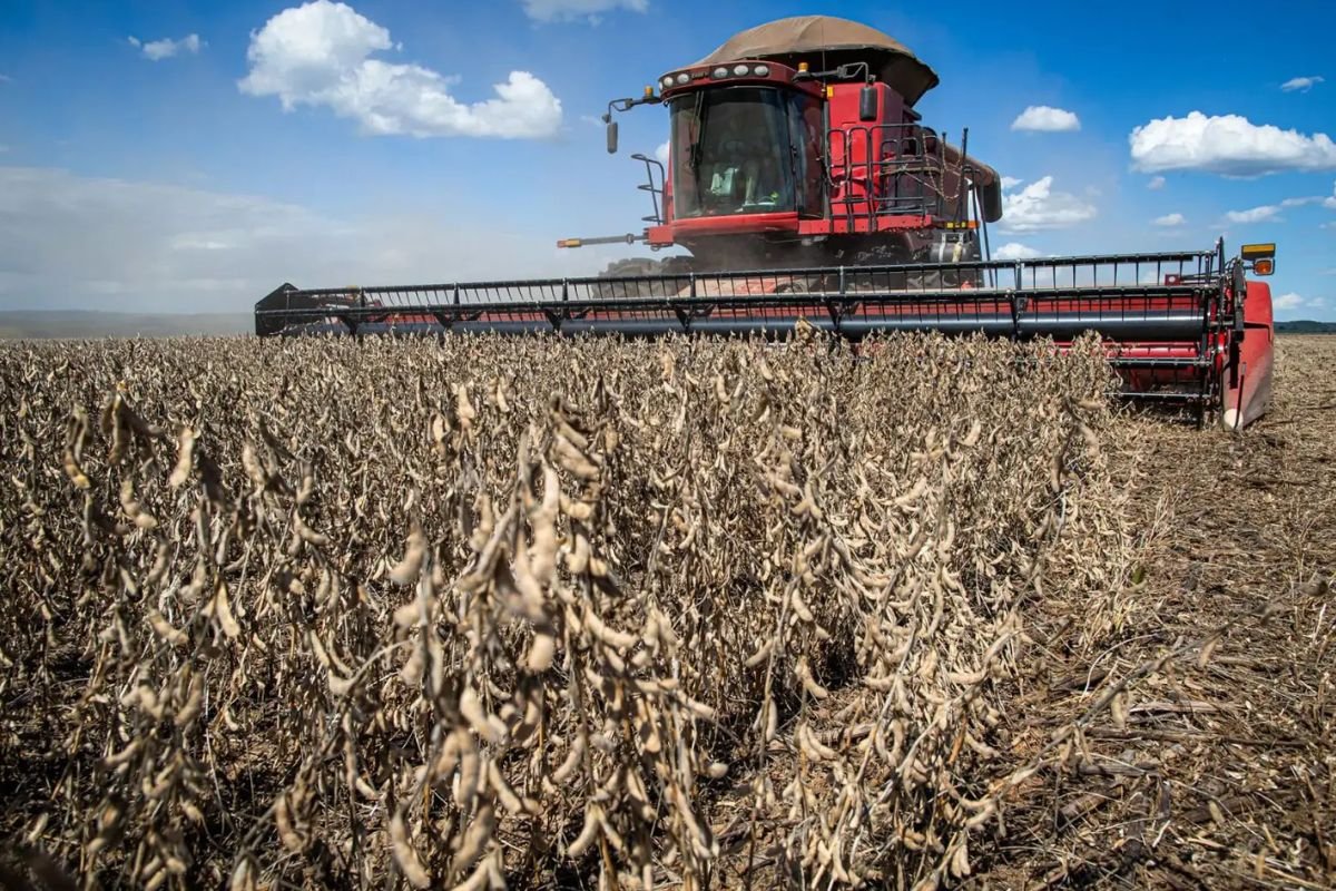 Nova fronteira agrícola pode tornar Goiás o 3º maior produtor de grãos do Brasil