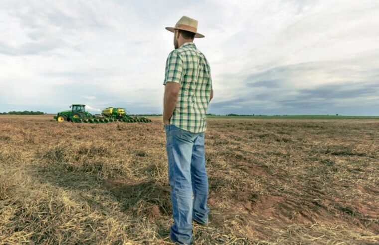 Produtor goiano que teve negado pagamento de seguro agrícola vai receber indenização contratada