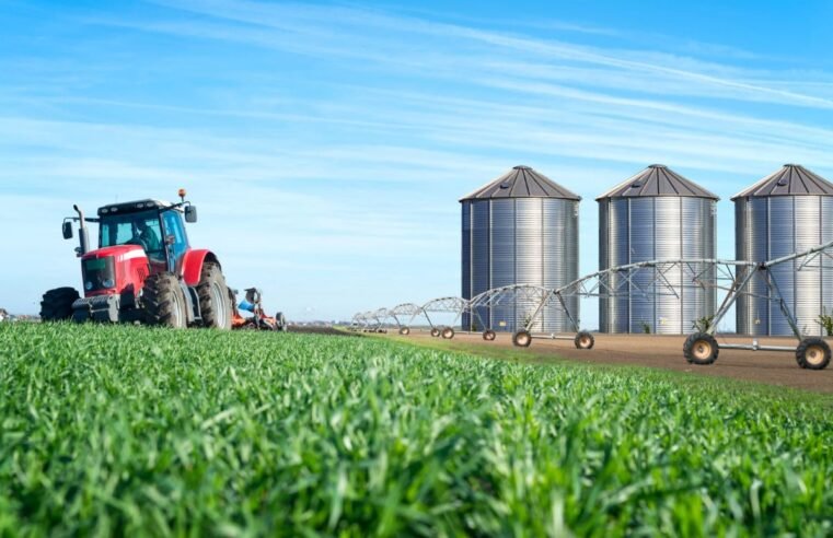 Brasil tem apenas 16% de capacidade para armazenamento da safra de grãos