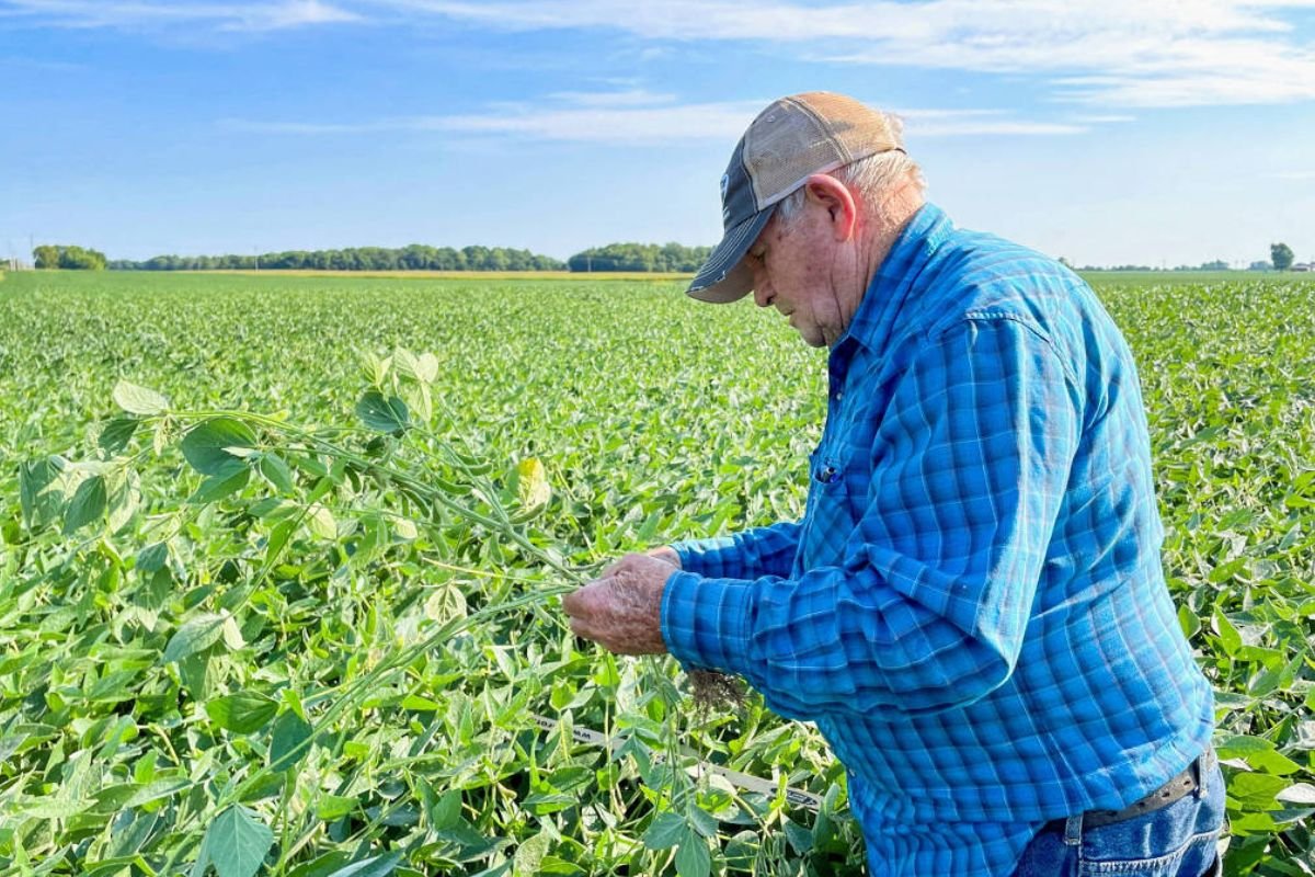 China se prepara para retaliar EUA com tarifas sobre produtos agrícolas