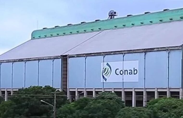 Conab tem aproximadamente meio bilhão de reais para formar estoques reguladores