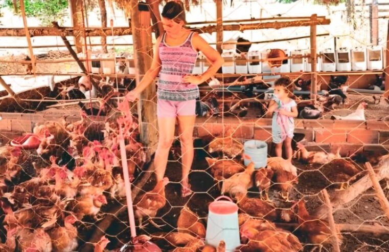 Crédito Social amplia negócios rurais em Campestre