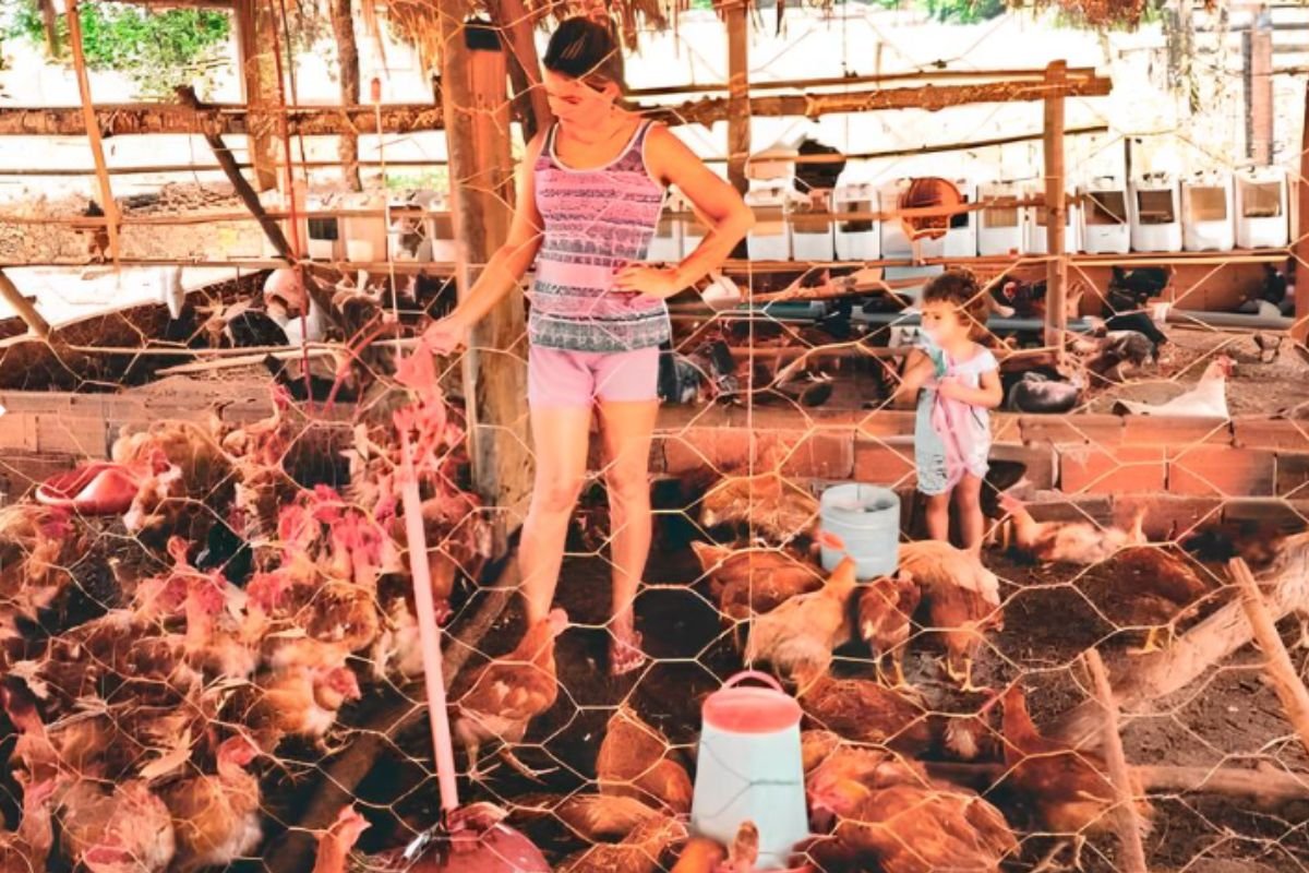 Crédito Social amplia negócios rurais em Campestre