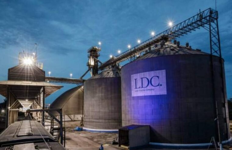 Lucro da Louis Dreyfus cai em 2024 com queda nos preços agrícolas