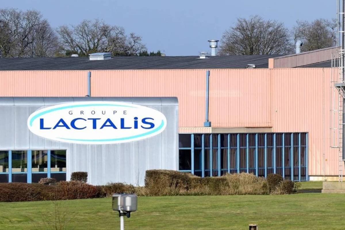 Lactalis investe R$ 313 milhões para expandir produção no Paraná