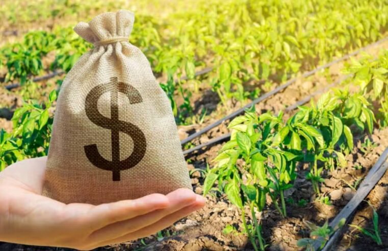 FPA busca reforço de R$ 1 bilhão para subvenção ao seguro rural