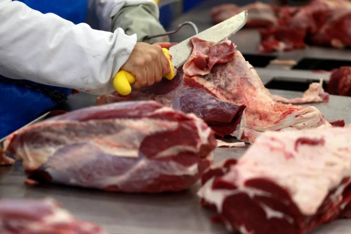 Brasil expande mercado e passa a exportar carne para Sarawak, na Malásia