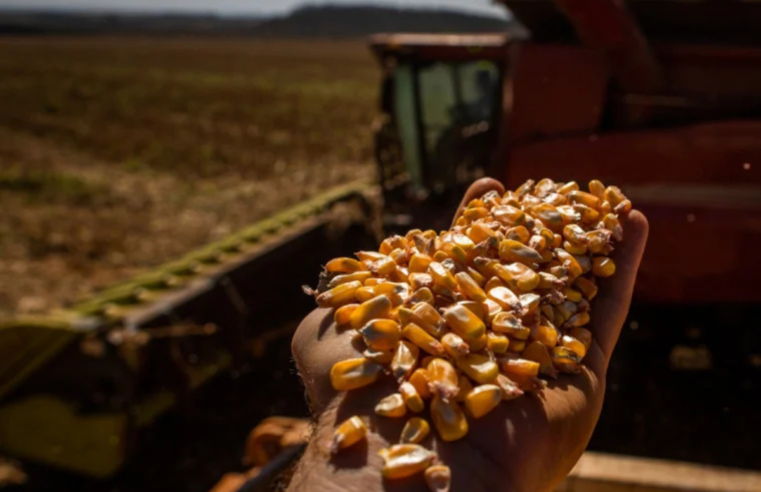 Especialistas criticam medidas do governo para conter inflação de alimentos