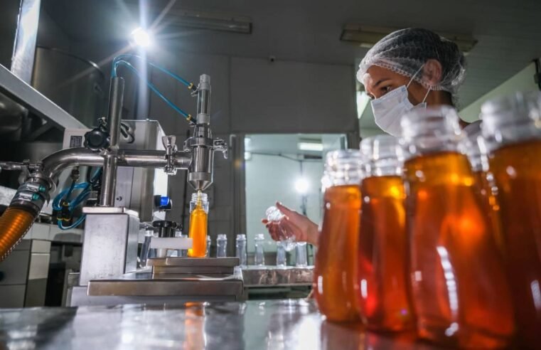 Seapa convoca empresa para projeto de melhoria em agroindústrias de pequeno porte