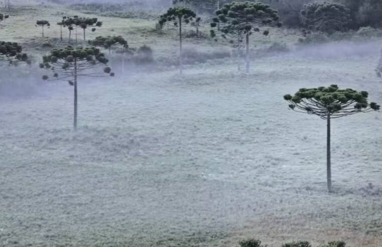 Outono começa com previsão de geada e chuva em várias regiões