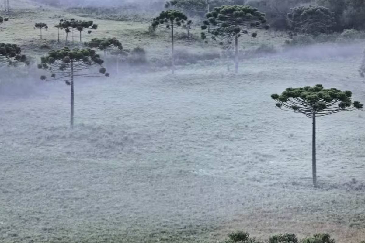 Outono começa com previsão de geada e chuva em várias regiões
