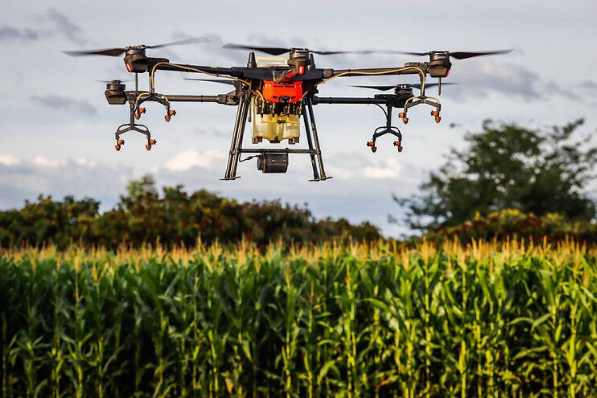 Mapa adota drones para fiscalização de plantio e agiliza monitoramento