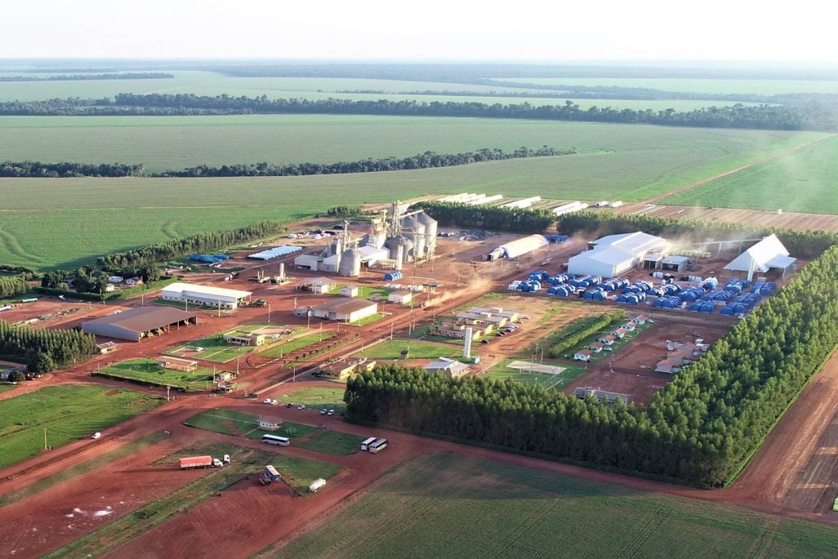 Grandes nomes do agronegócio brasileiro: conheça os 8 fazendeiros mais ricos do país
