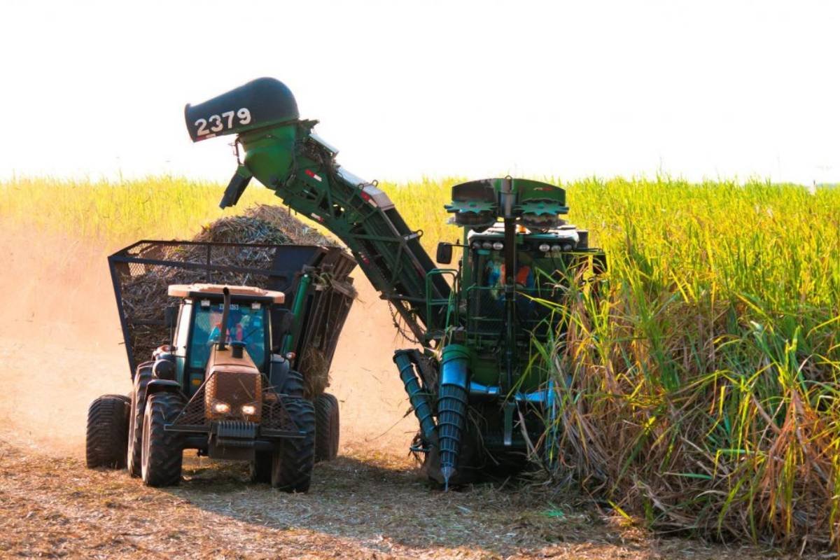 Mato Grosso do Sul bate recorde na produção de etanol e reforça compromisso com descarbonização