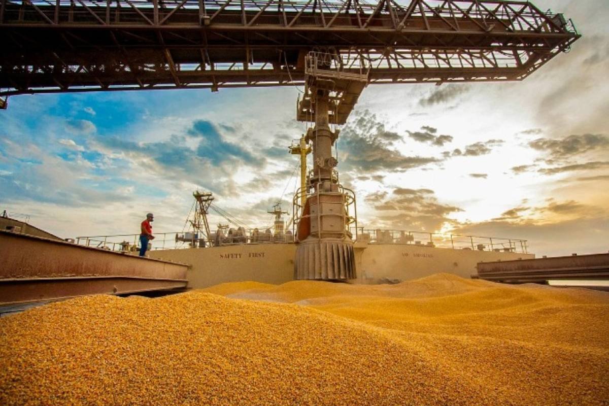 Exportações de Milho do Brasil Disparam e Média Diária Mais que Triplica em Março