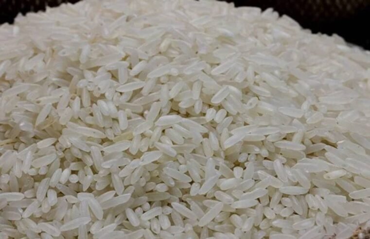 Arroz tem queda expressiva e preocupa setor agrícola
