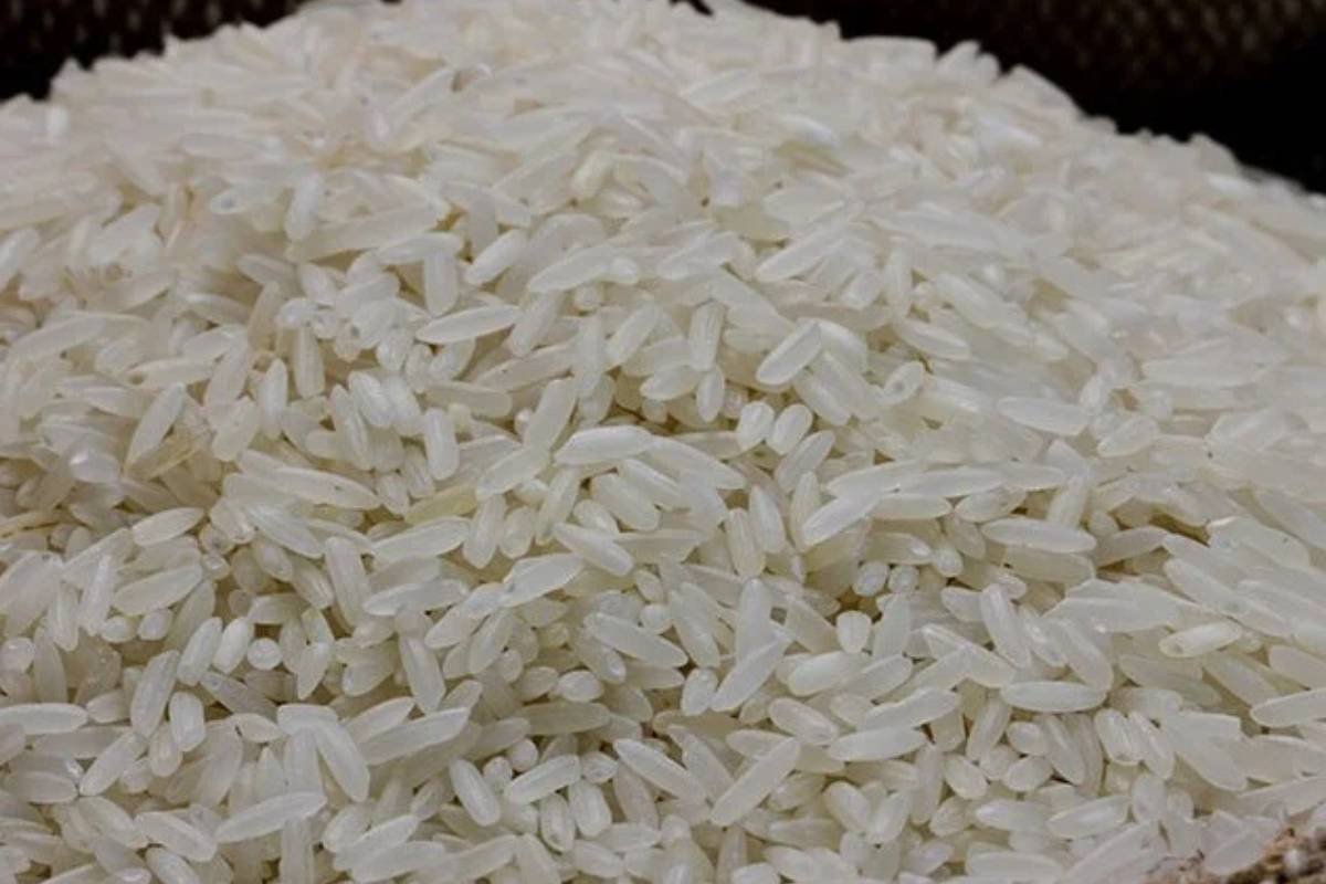 Arroz tem queda expressiva e preocupa setor agrícola