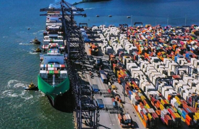 Terminal de Contêineres de Paranaguá registra crescimento de 22% na exportação de carne bovina