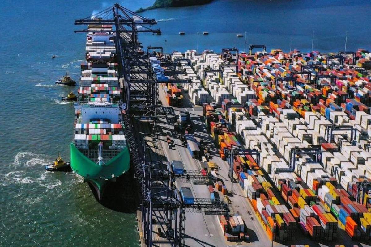 Terminal de Contêineres de Paranaguá registra crescimento de 22% na exportação de carne bovina