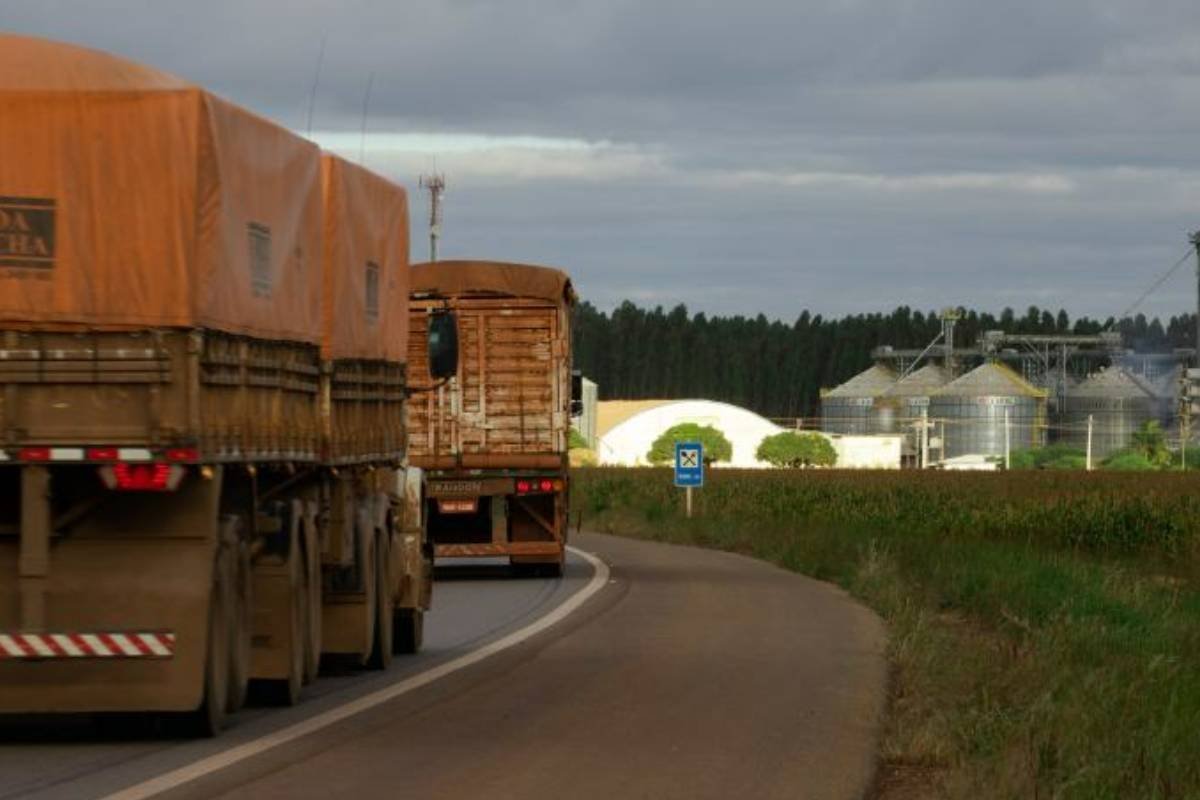 Alta no frete em MT pressiona custos e pode impactar preço dos alimentos