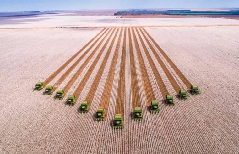 SLC Agrícola ultrapassa 800 mil hectares de área plantada com novas aquisições