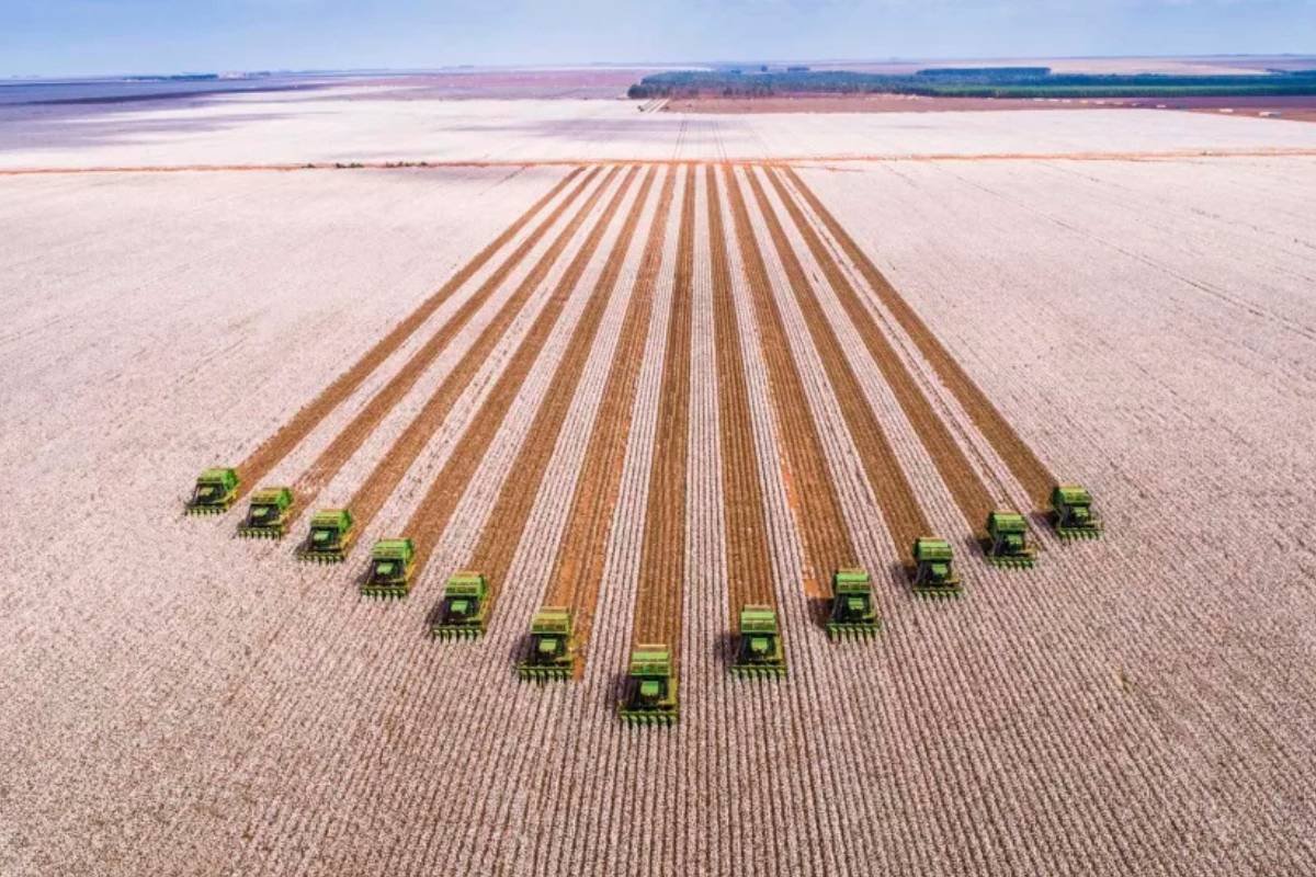 SLC Agrícola ultrapassa 800 mil hectares de área plantada com novas aquisições