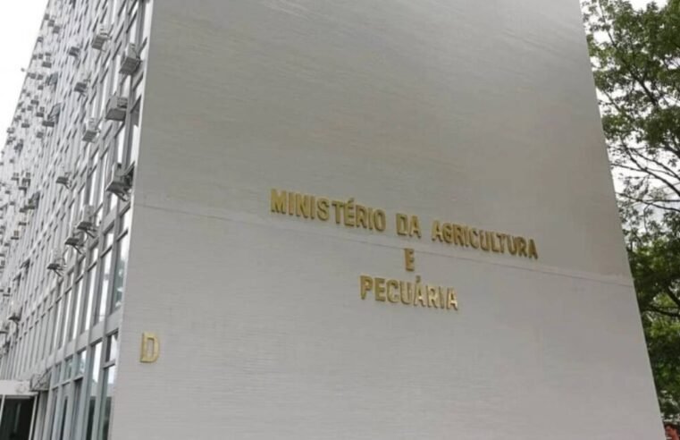 Consulta pública sobre Plano de Dados Abertos 2025/2027 do Mapa está aberta