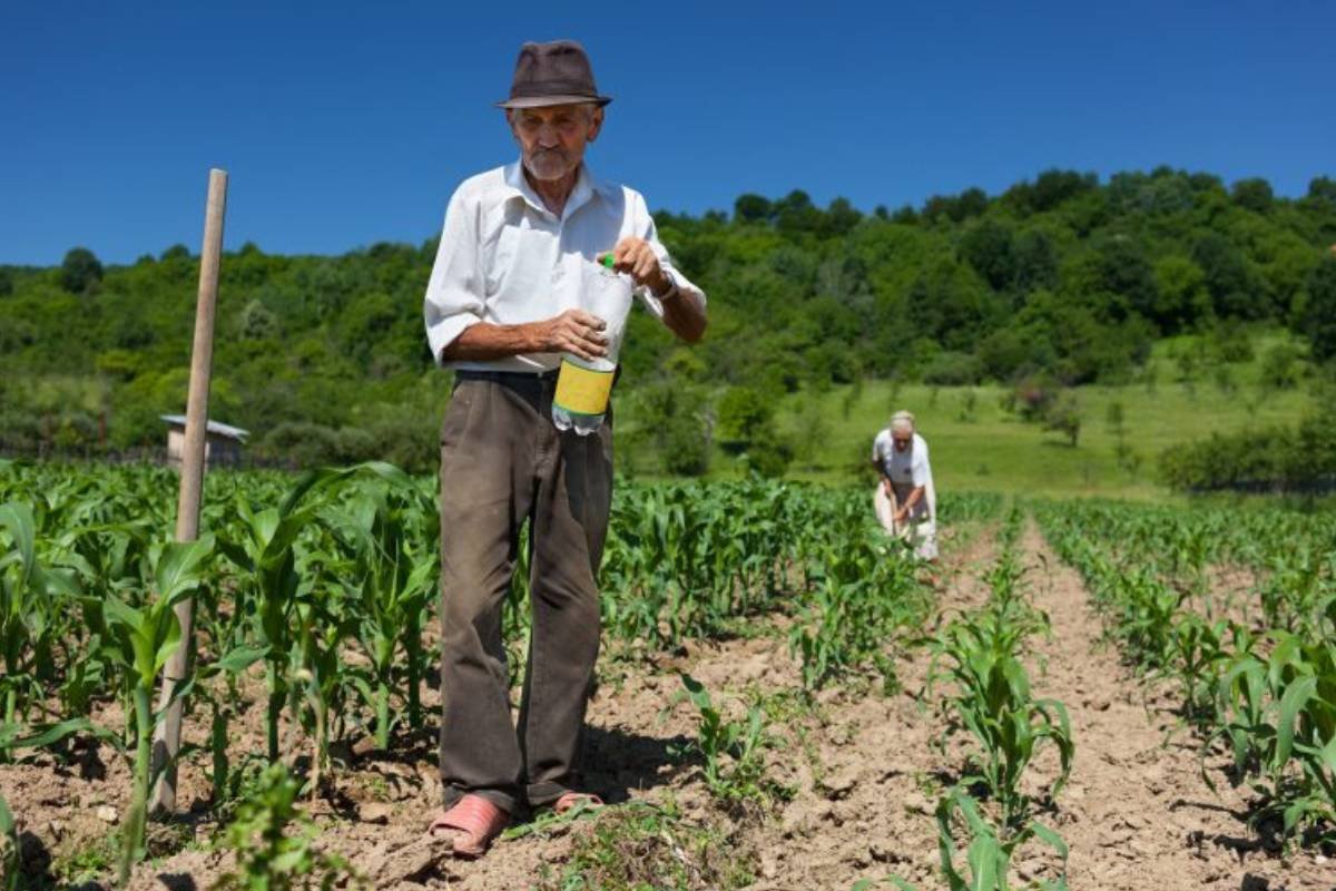 Projeto de Lei Propõe Crédito Específico para Agricultura Familiar e Jovens Rurais