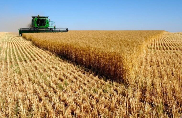 1ª Conferência Agropecuária do Norte de Minas reúne mais de mil produtores para debater entraves à produção rural