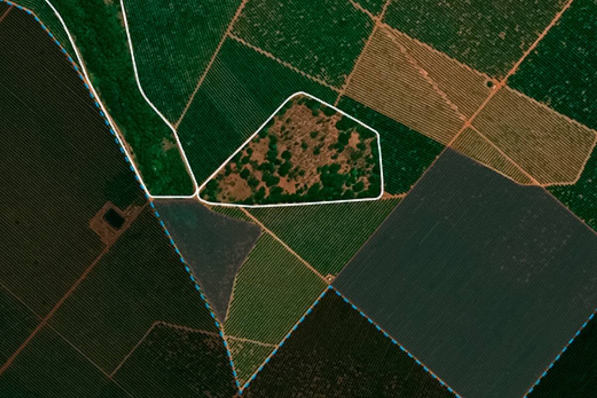 Falsos Positivos na Fiscalização Ambiental por Satélite Geram Controvérsias