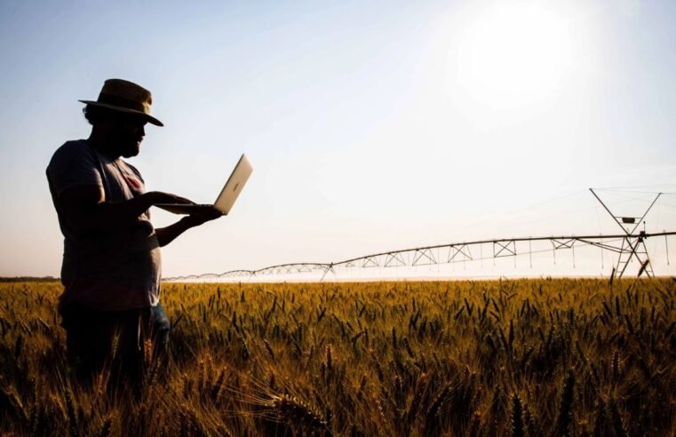 Dia Mundial da Agricultura: boas práticas geram sustentabilidade e oportunidades