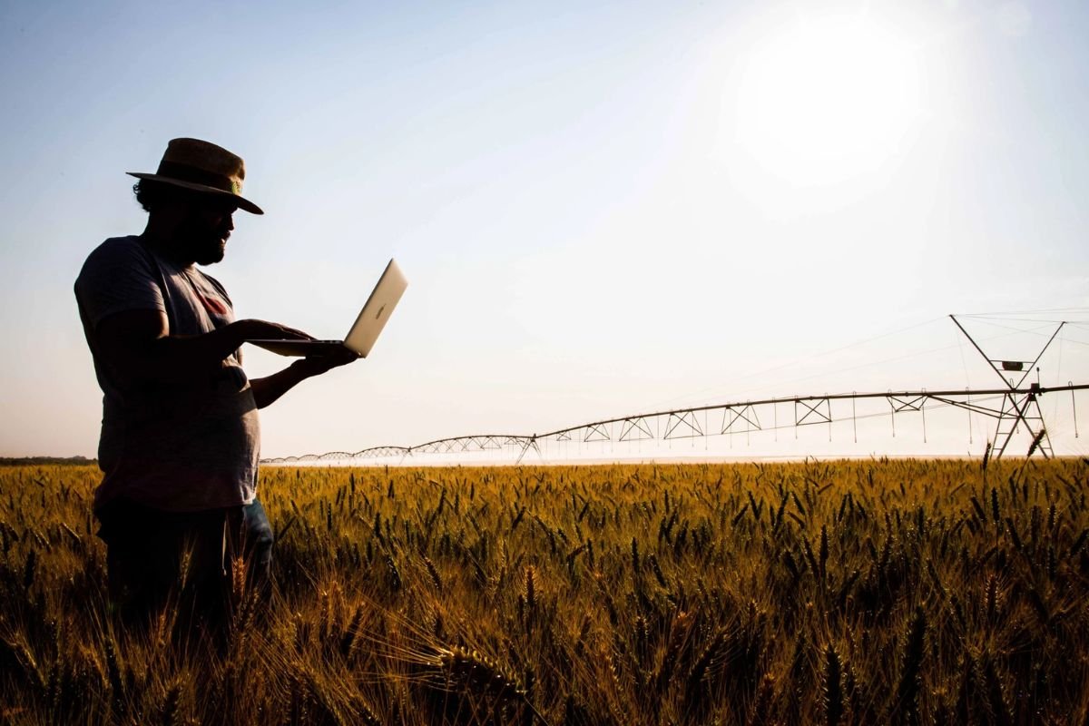 Dia Mundial da Agricultura: boas práticas geram sustentabilidade e oportunidades