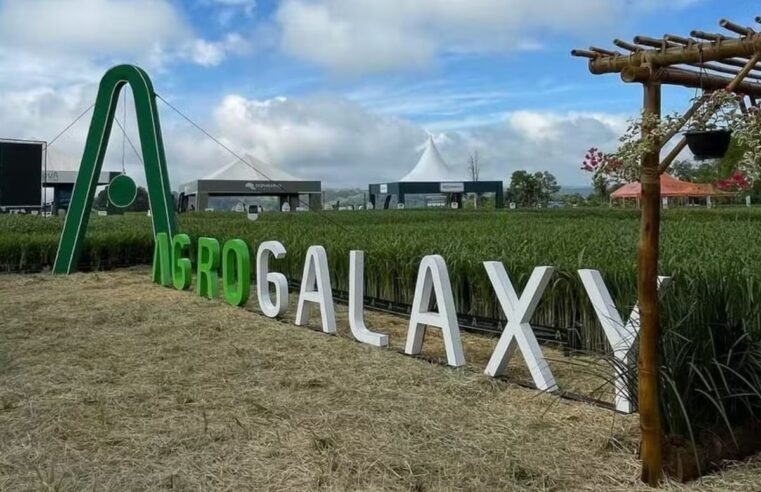 Em recuperação judicial, Agrogalaxy volta a receber grãos e promete pagar em 24 horas