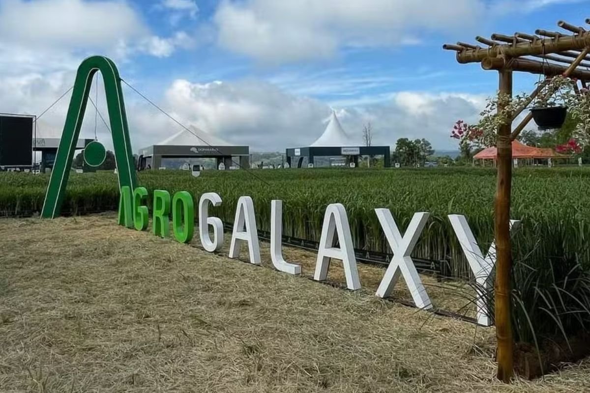 Em recuperação judicial, Agrogalaxy volta a receber grãos e promete pagar em 24 horas
