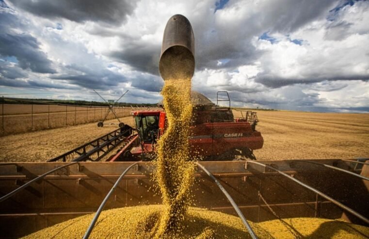 Expansão do agronegócio promete impulsionar o mercado imobiliário em Goiás, em 2025