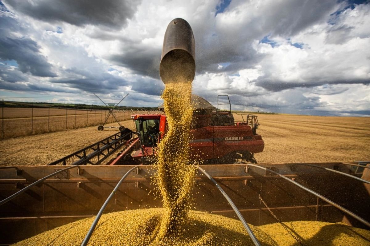 Expansão do agronegócio promete impulsionar o mercado imobiliário em Goiás, em 2025