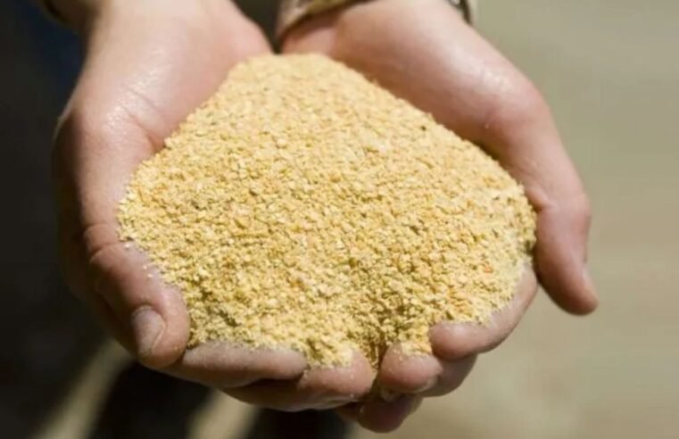 Farelo sobe quase 3% e puxa altas entre os futuros da soja negociados na Bolsa de Chicago nesta 5ª