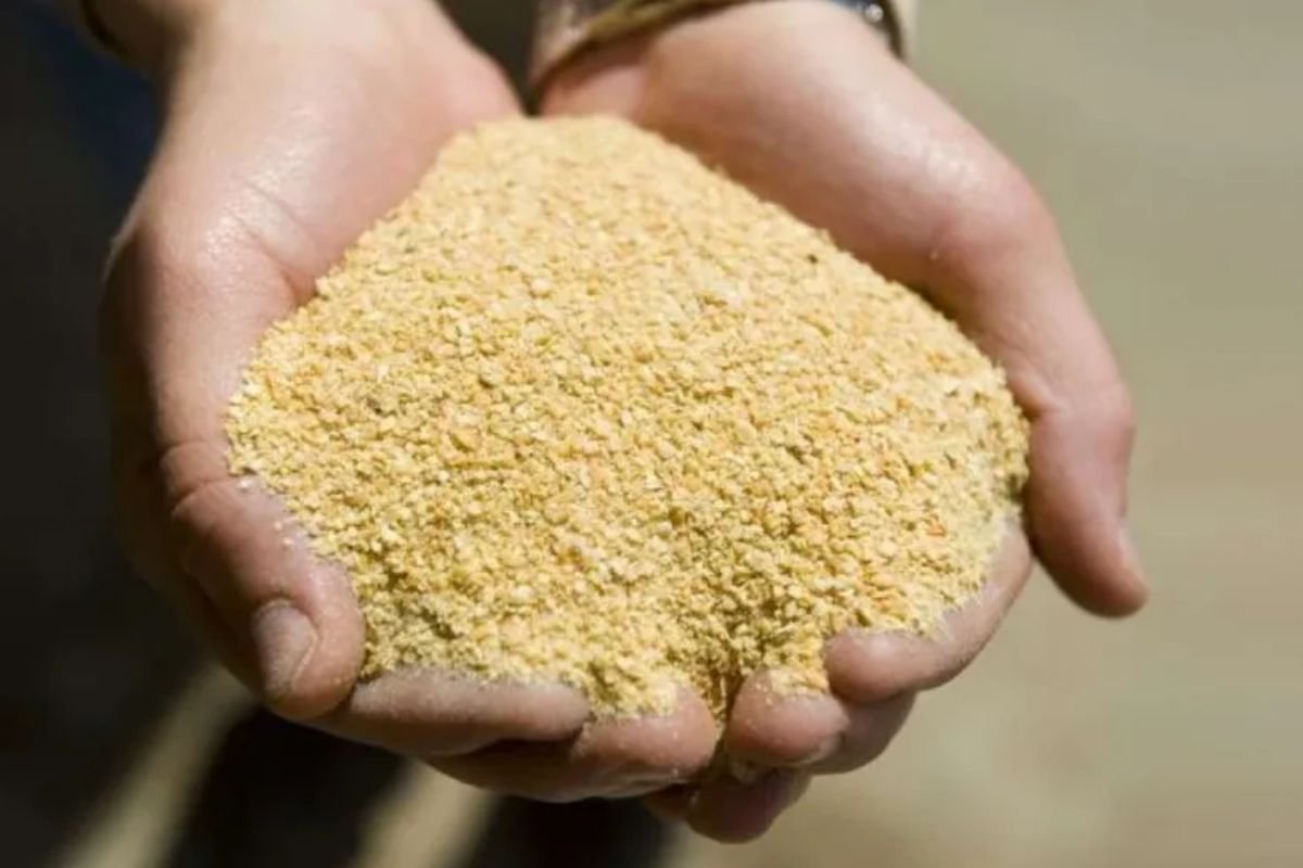 Farelo sobe quase 3% e puxa altas entre os futuros da soja negociados na Bolsa de Chicago nesta 5ª