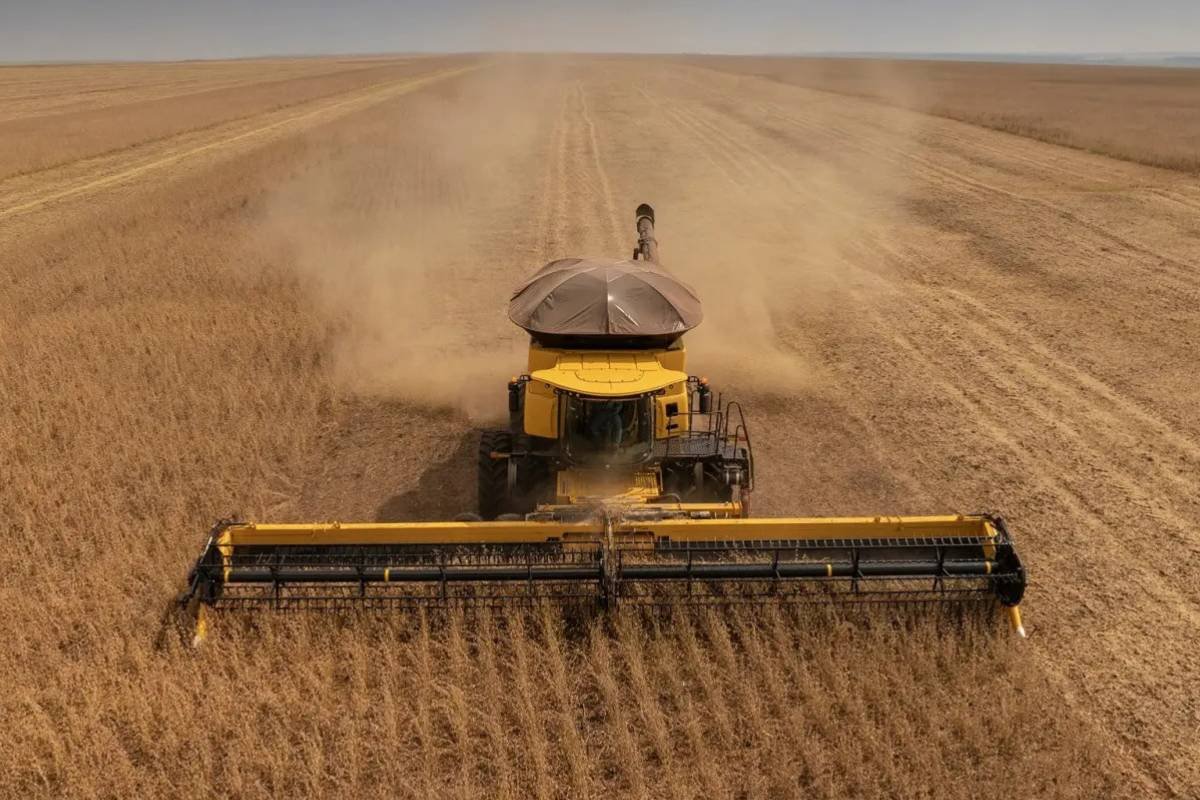 Produtor rural consegue prorrogação de blindagem patrimonial por mais 180 dias