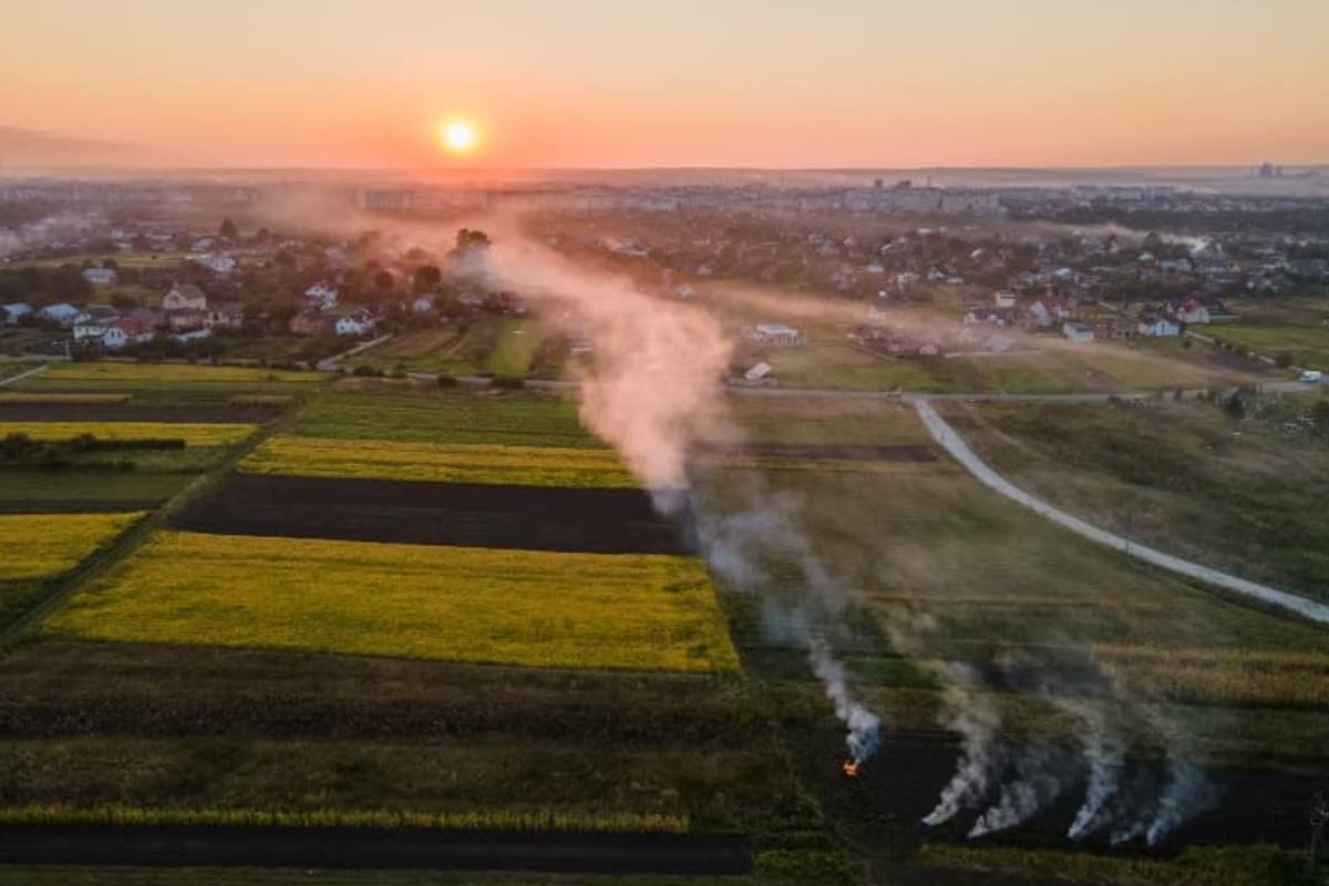 Embrapa estima custo das emissões de carbono na agricultura brasileira em US$ 11,54/t