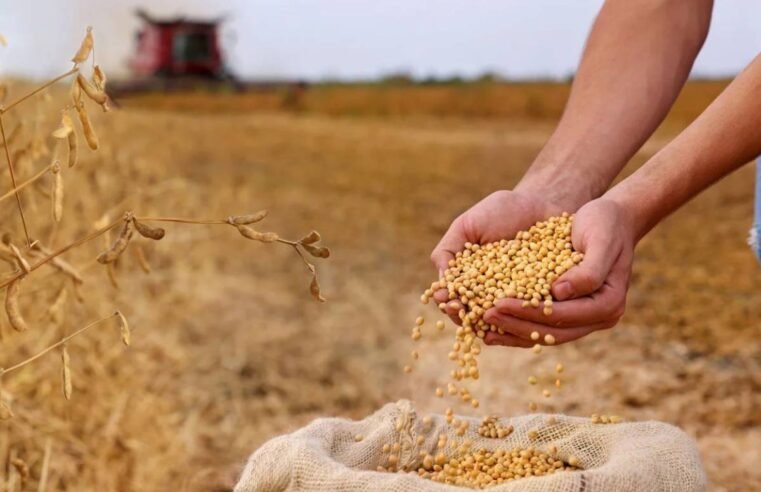 Guerra Comercial dos EUA Impulsiona Vendas de Soja do Brasil