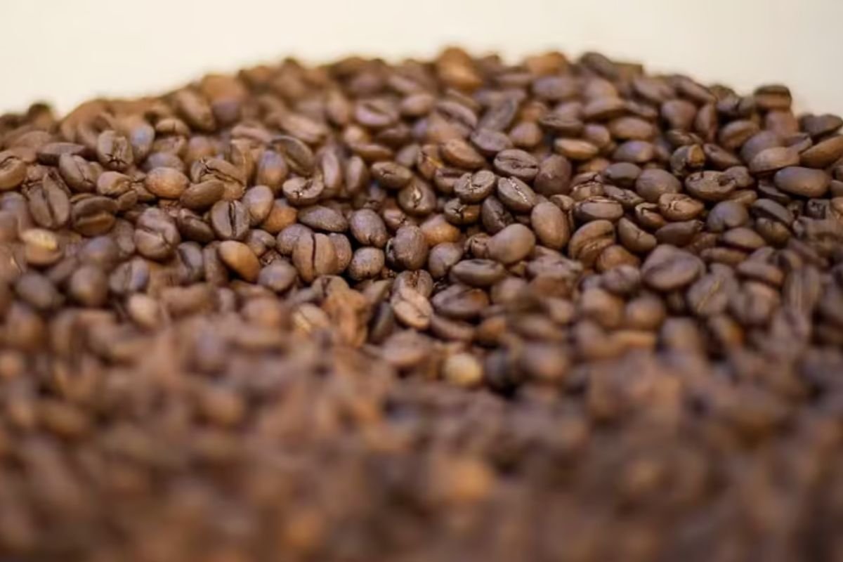 Imposto zero para importação de itens como café e carne começa hoje