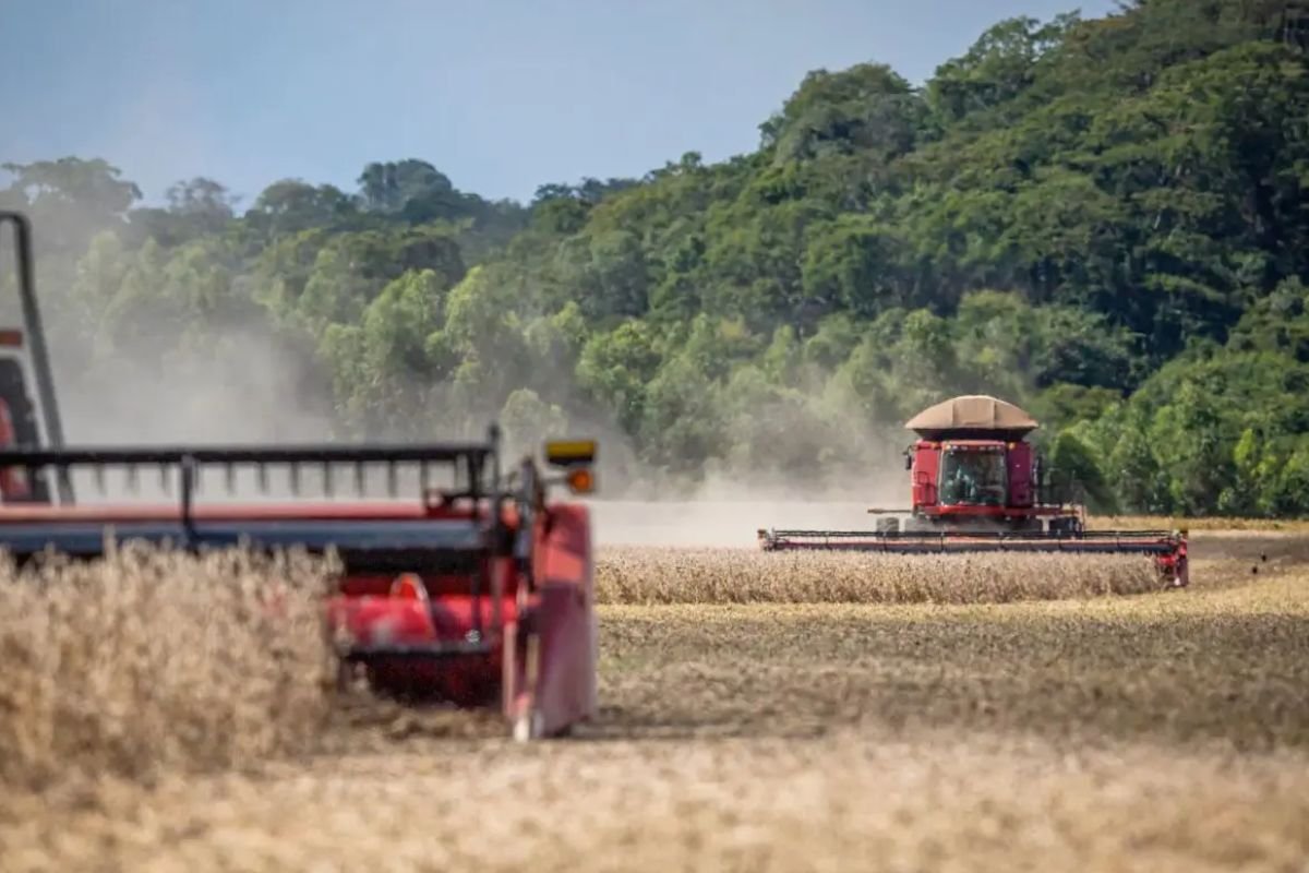 Mais de 35 mil fazendas podem ser desapropriadas e incorporadas as terras da União