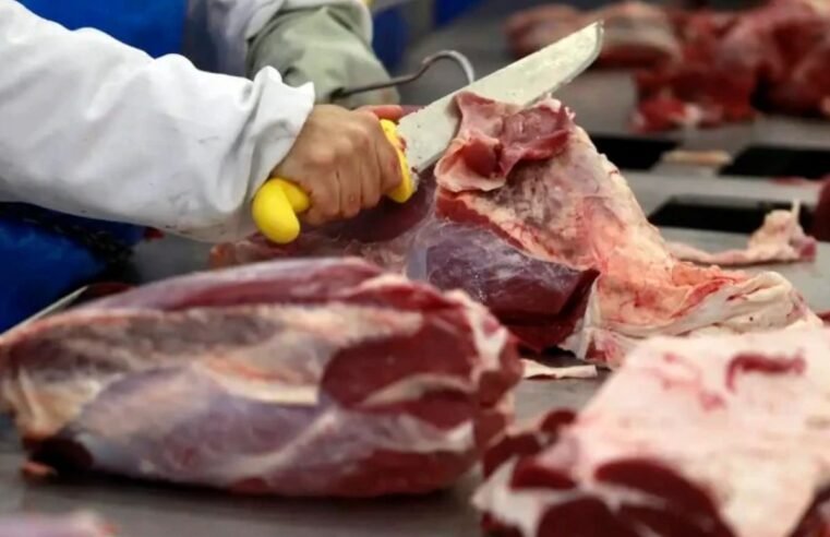 Brasil avança em negociações para exportação de carne bovina ao Japão