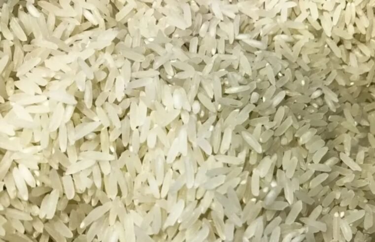 Preços do arroz caem para o menor patamar nominal desde outubro de 2022