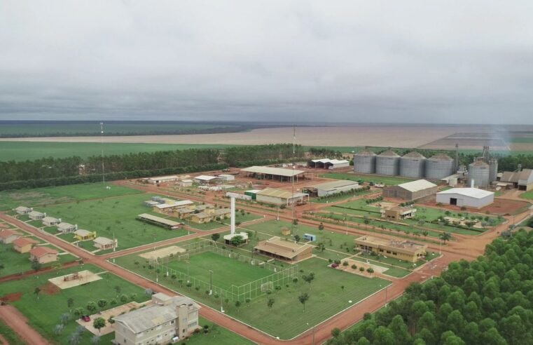 SLC Agrícola compra terras na Bahia e em Minas Gerais por R$913 mi